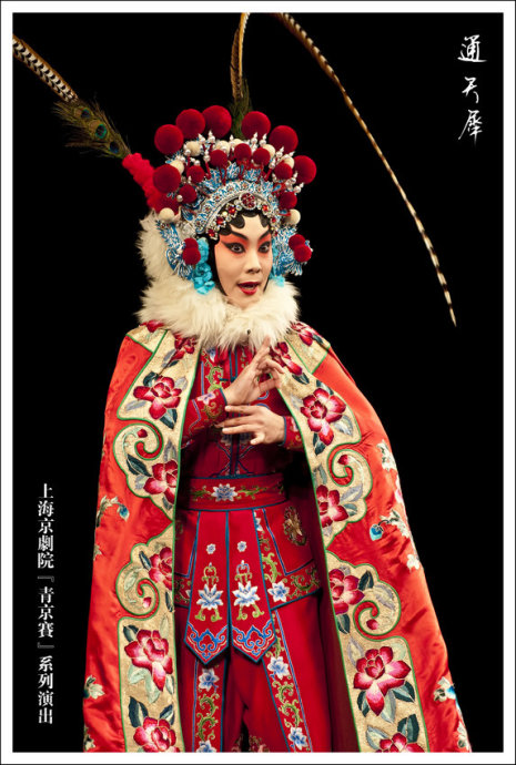 魏娟-最受欢迎的著名京剧演员排行榜