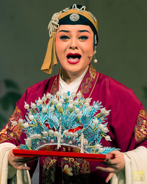 寿春柳