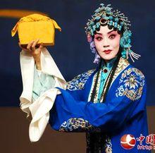 豫剧演员刘雯卉个人简介