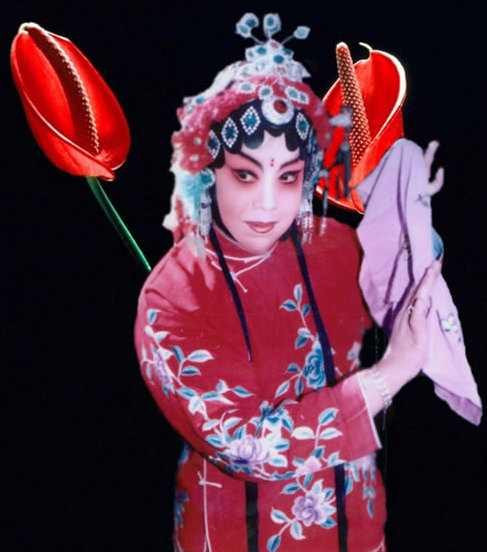 豫剧演员王素君个人简介