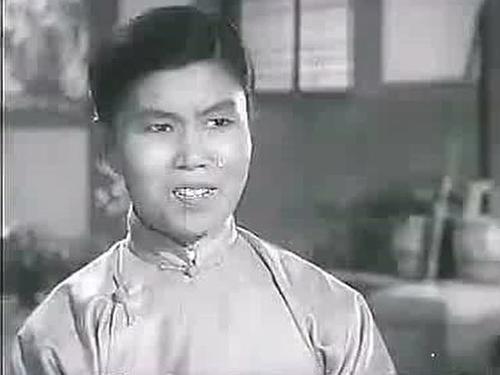 豫剧演员杨华瑞个人简介