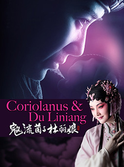 越剧《寇流兰与杜丽娘》-越剧经典传统剧目介绍