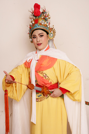 越剧《绿林奇缘》-越剧经典传统剧目介绍
