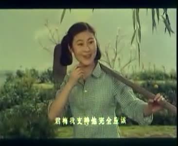 豫剧《金鸡引凤》-豫剧经典传统剧目介绍