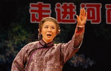 豫剧《风雨故园》-豫剧经典传统剧目介绍